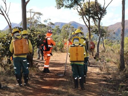 Governo de Minas lança Plano de Resposta para atendimento a incêndios florestais